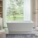 Option White/Brushed Nickel