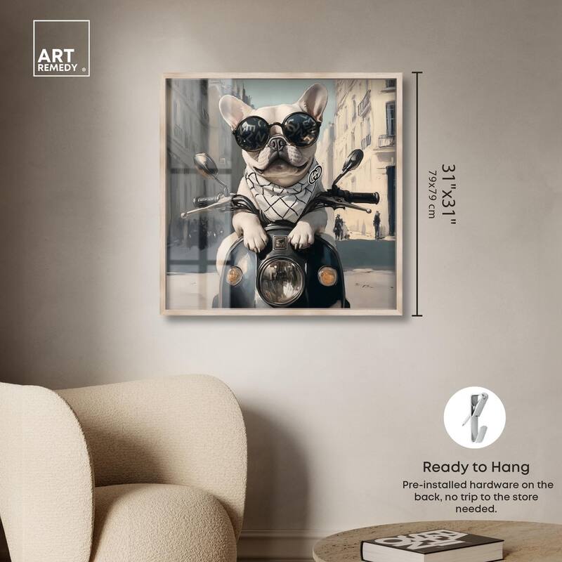 Frenchie on a Scooter Drive Shadowbox by Art Remedy