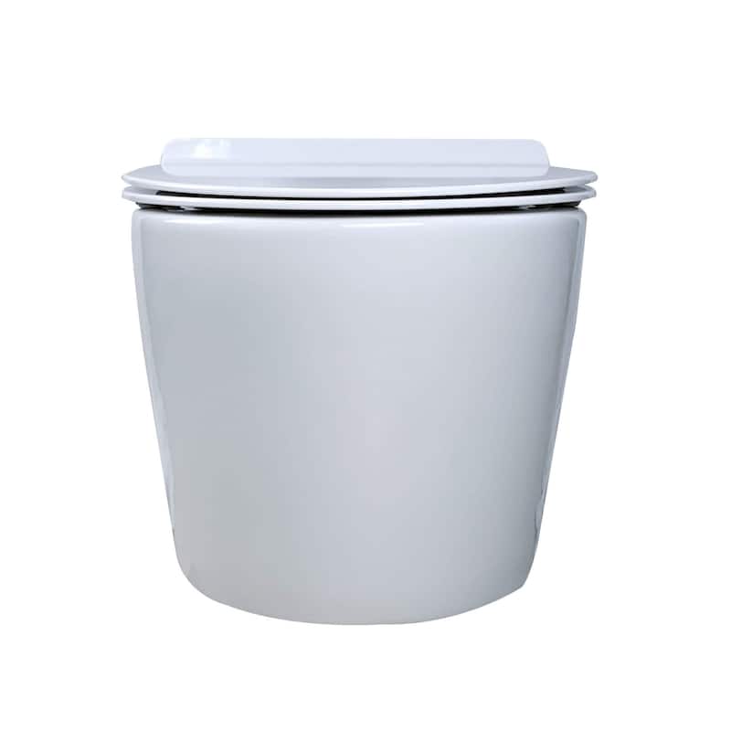 In-Wall toilet Combo Set - Toilet, Tank (2 x 6 Wall), Carrier System