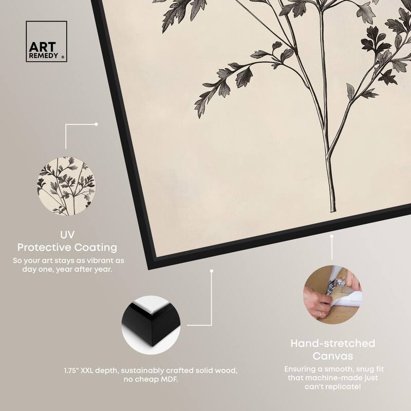 Aniseed Anatomy I Canvas by Art Remedy