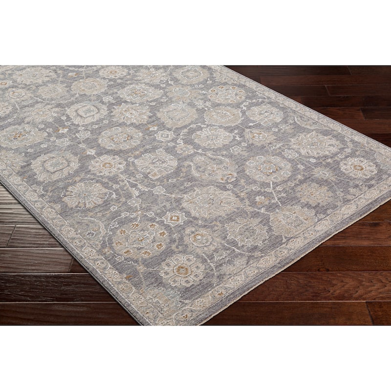 Artistic Weavers Pashe Vintage Distressed Area Rug