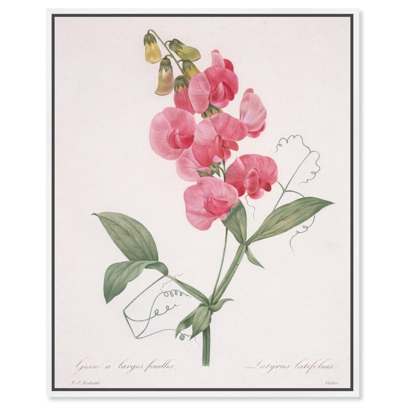 Latifolus Canvas by Art Remedy - White - 24" x 30"