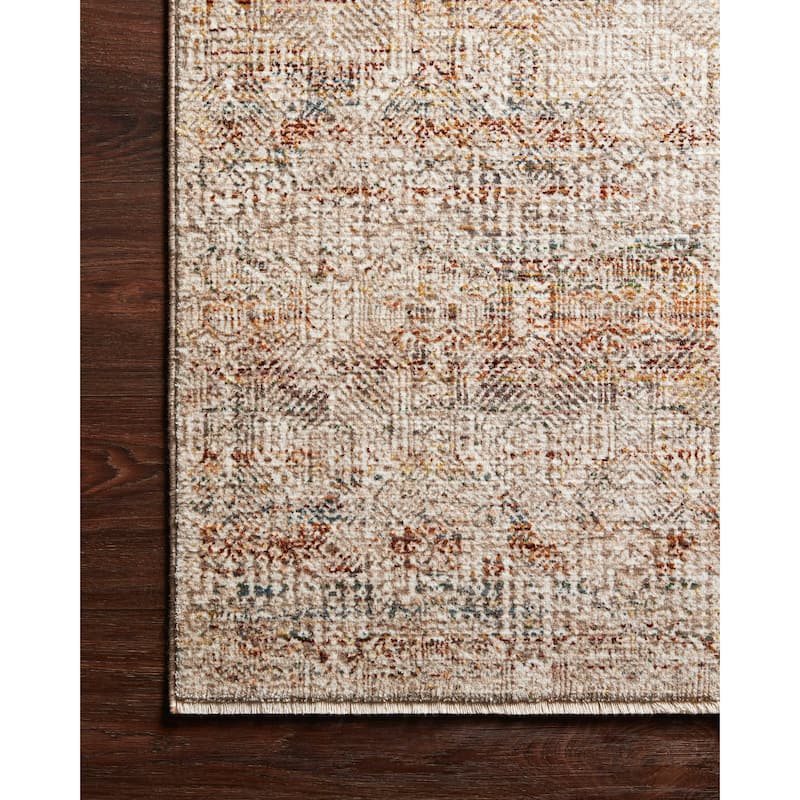 Alexander Home Leah Vintage Shabby Chic Area Rug