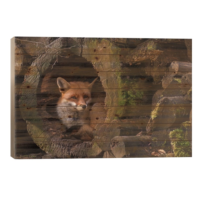 Fox Print On Wood by Cees van Ginkel - Multi-Color - 18x26x1.5
