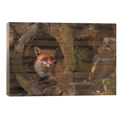 Fox Print On Wood by Cees van Ginkel - Multi-Color