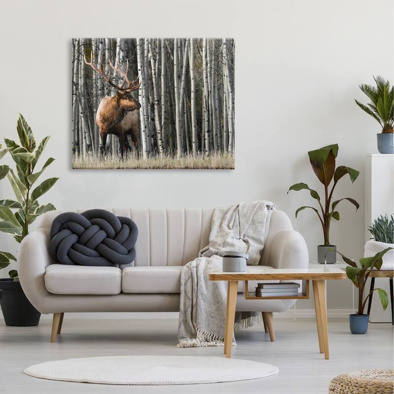 Stupell Elk Looming Out Birch Trees Animal Forest Photograph Canvas Wall Art - Grey