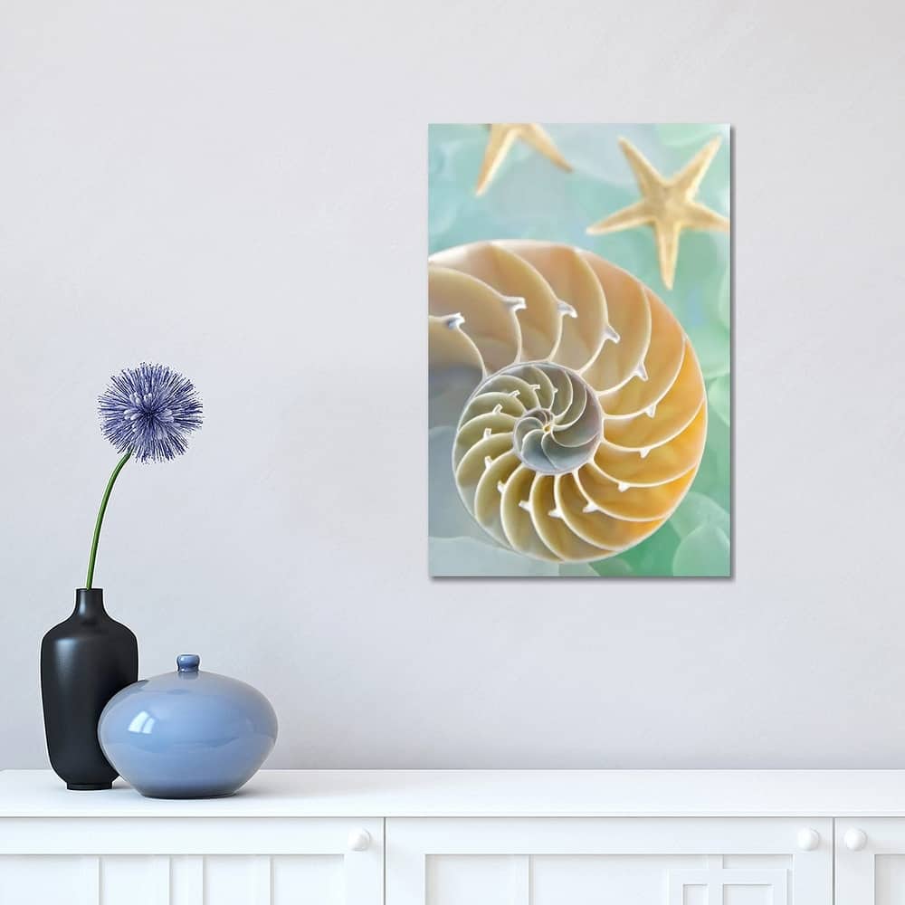 iCanvas "Seaglass 2" by Alan Blaustein Canvas Print