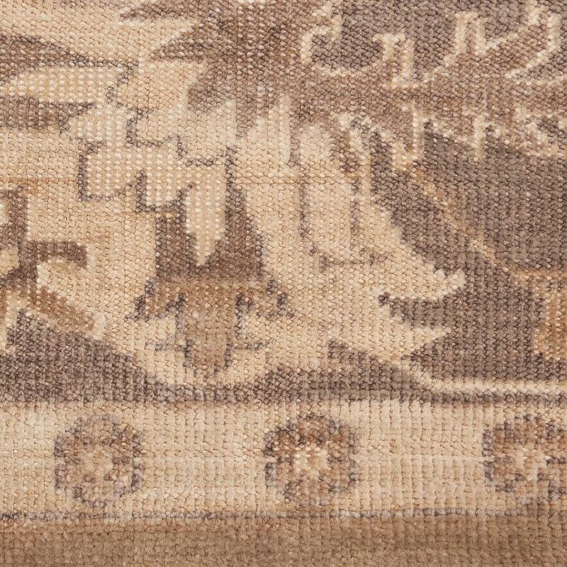 Nourison Aldora Vintage Botanical Medallion Area Rug