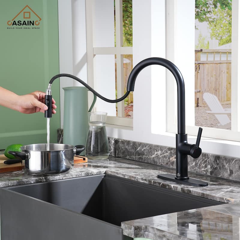 Single Handle Pull-Down Sprayer Kitchen Faucet