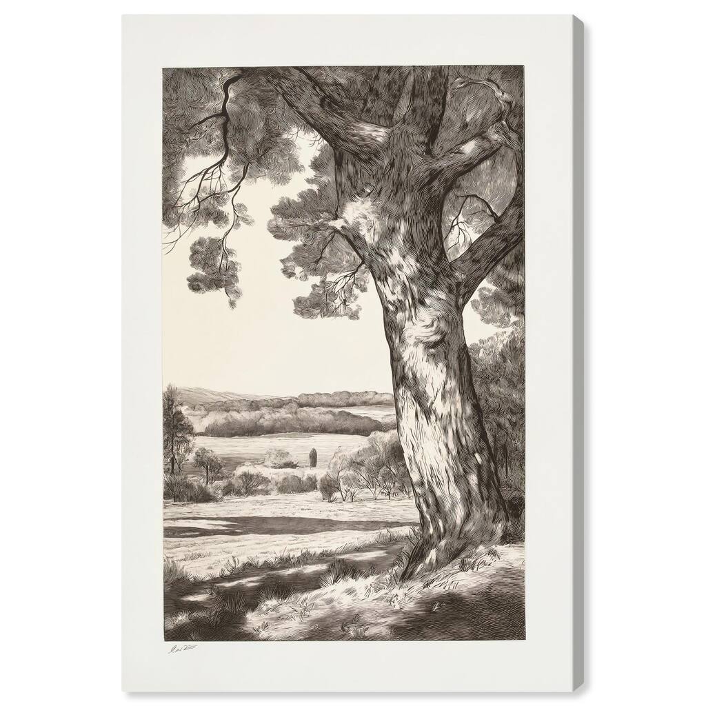 Sylvan Sovereign I Canvas by Art Remedy, Gallery Wrapped