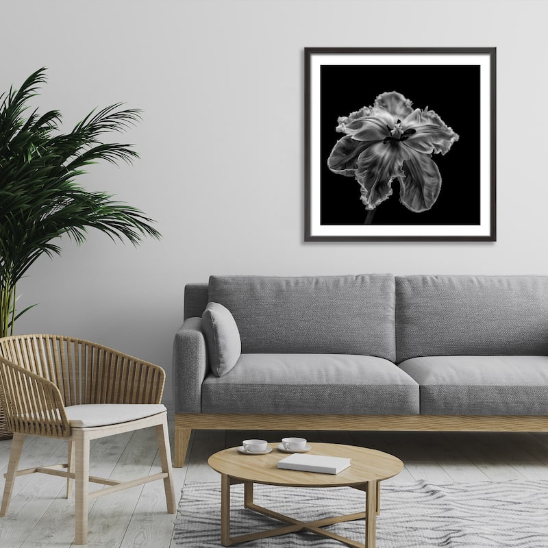 "Parrot Tulip" Framed Print Wall Art by Lotte Gronkjar