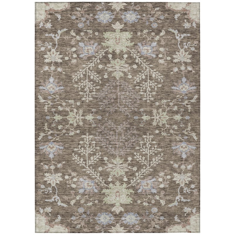Machine Washable Indoor/ Outdoor Boho Traditional Chantille Rug