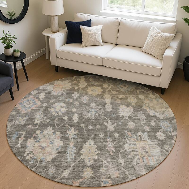 Machine Washable Indoor/ Outdoor Casual Traditional Chantille Rug