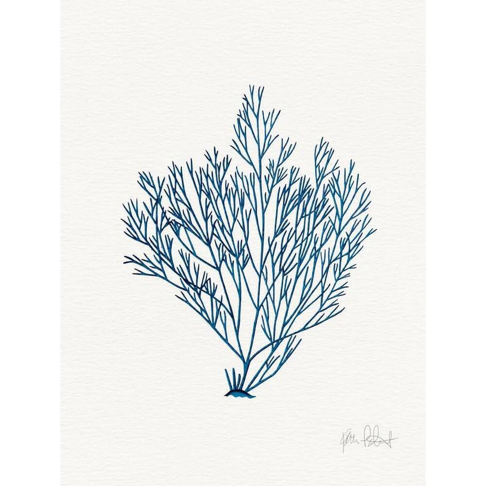Sea Garden II Art Poster - Print On Demand