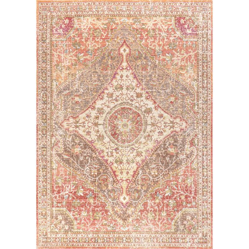 JONATHAN Y Portmany Modern Boho Vintage Medallion Area Rug - 4 X 6 - Brown/Pink
