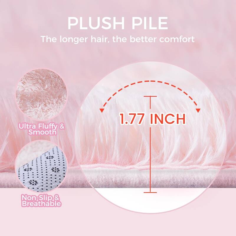 4X6 Fluffy Shag Area Rugs, Super Soft Rugs for Living Room