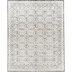 preview thumbnail 29 of 34, Livabliss Louvre Transitional Area Rug
