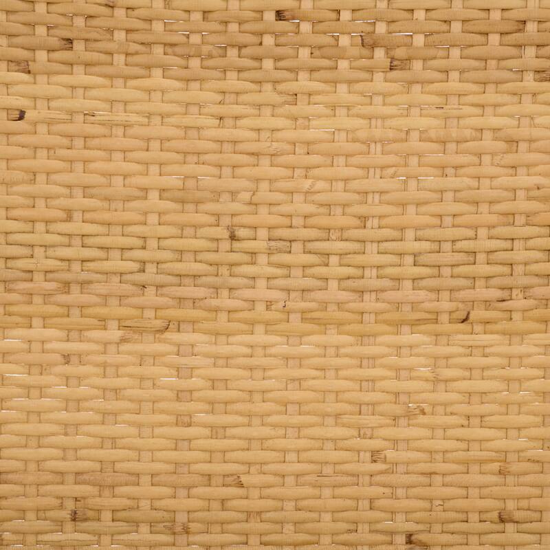 SAFAVIEH Home Rimma Rattan Arm Chair (Set of 2) - 22"W x 23"D x 36"H