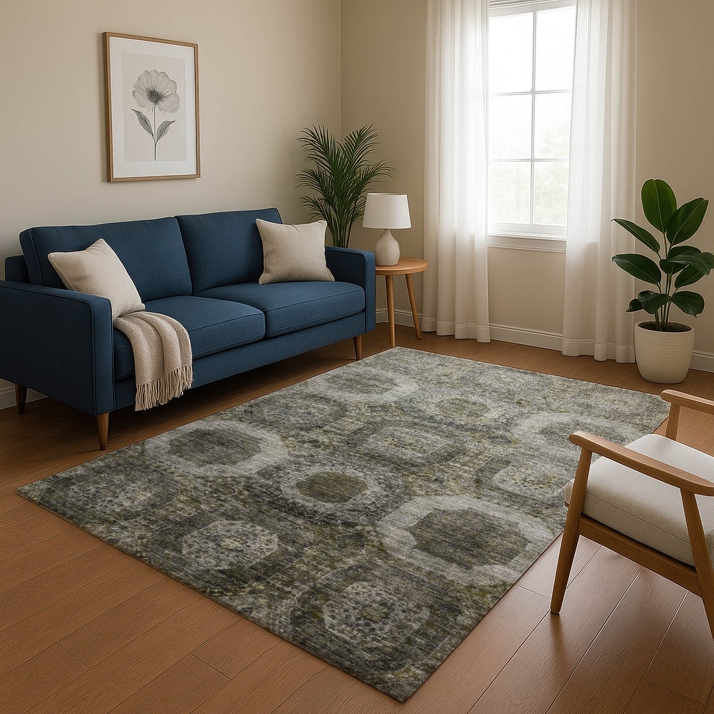 Premium Washable Super Soft Vintage Traditional Mayfield Rug
