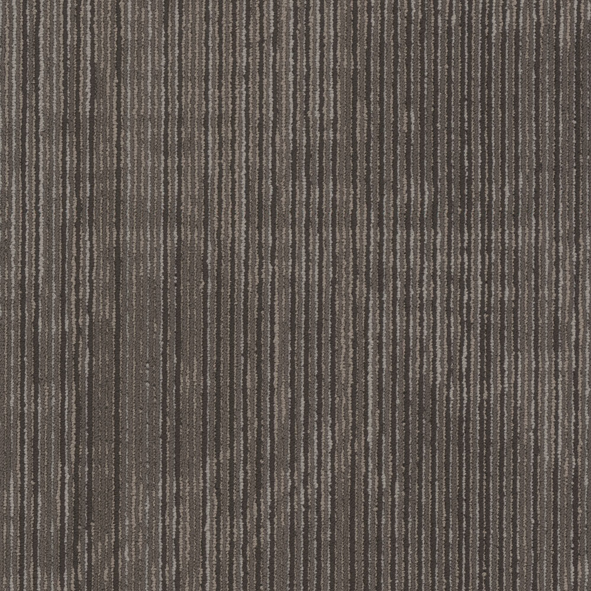 Shaw Philadelphia Commercial Encrypt 18" x 36" Glue Down Carpet Tile -