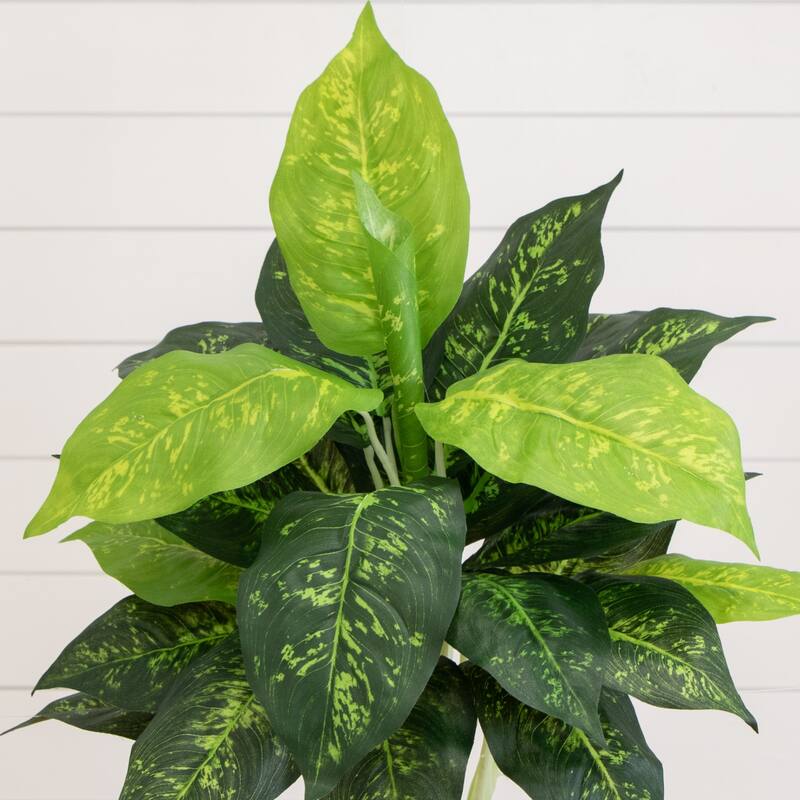 19" Artificial Dieffenbachia Plant - Set of 6 - Green