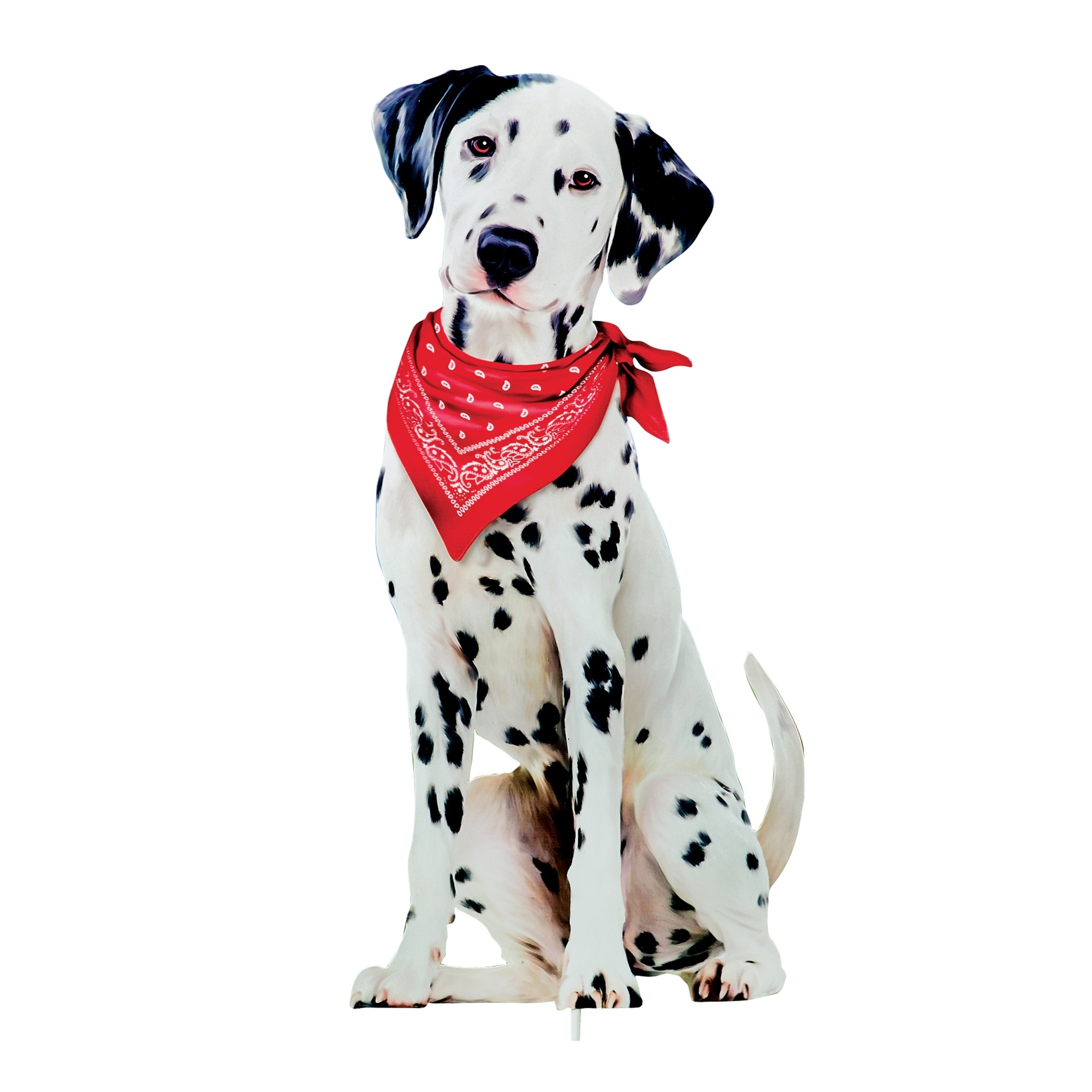 Dalmatian bandana on sale