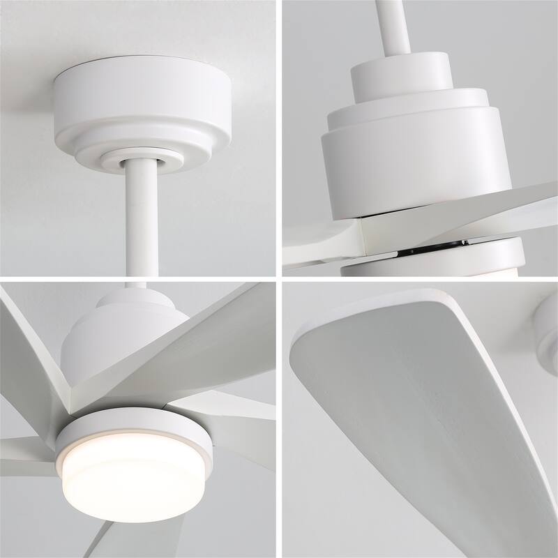 Ceiling Fan With Led Light