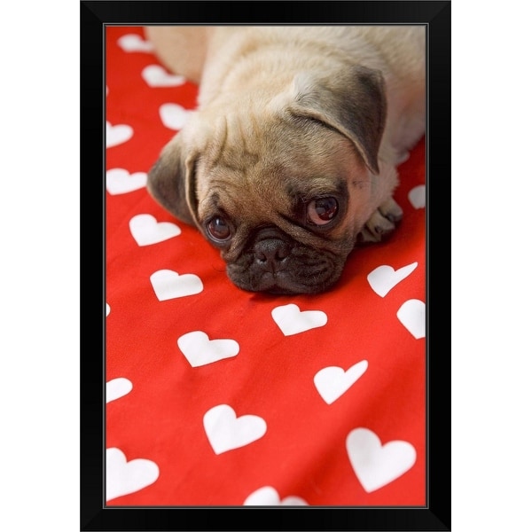 "Puppy love" Black Framed Print