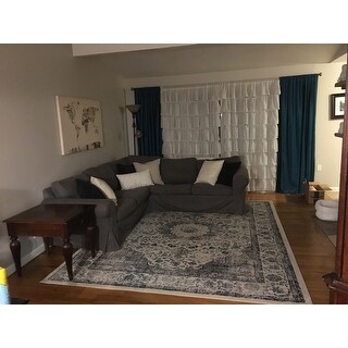 Safavieh Evoke Annabel Vintage Shabby Chic Oriental Rug