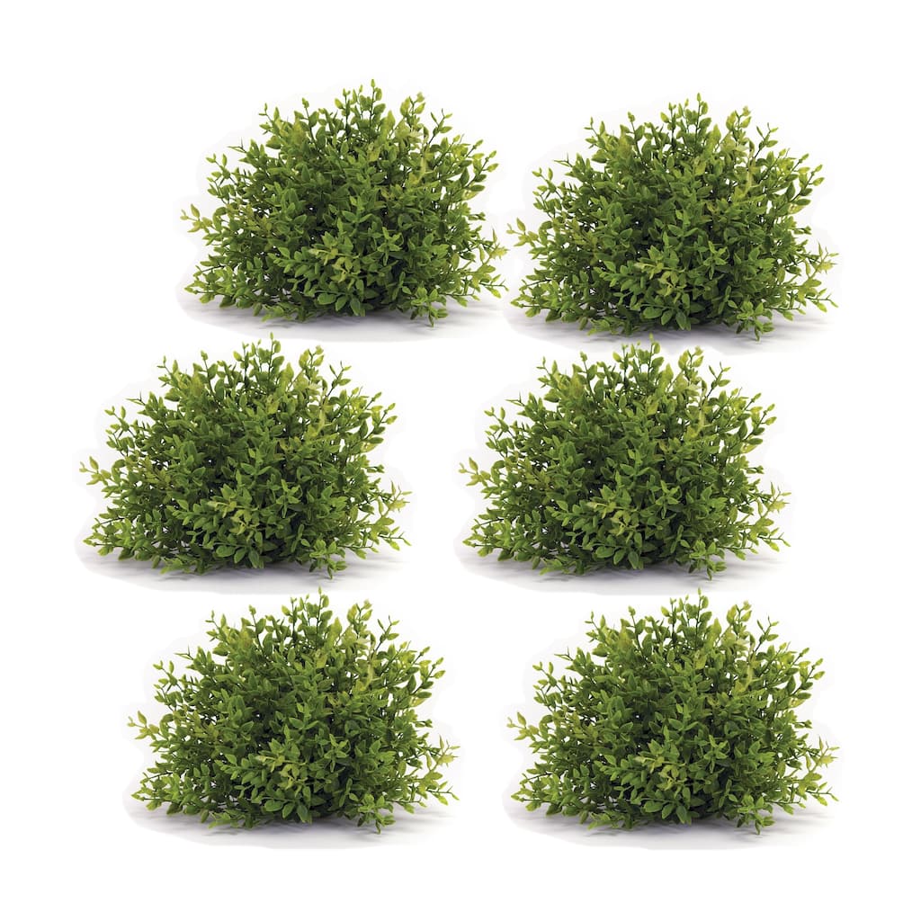 Mini Leaf Half Orb (Set of 6)