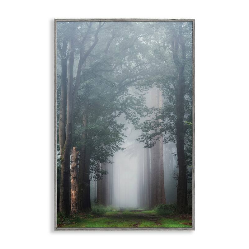 Stupell Calm Forest Clearing Framed Giclee Art Design By Martin Podt - 16 x 24 - Grey