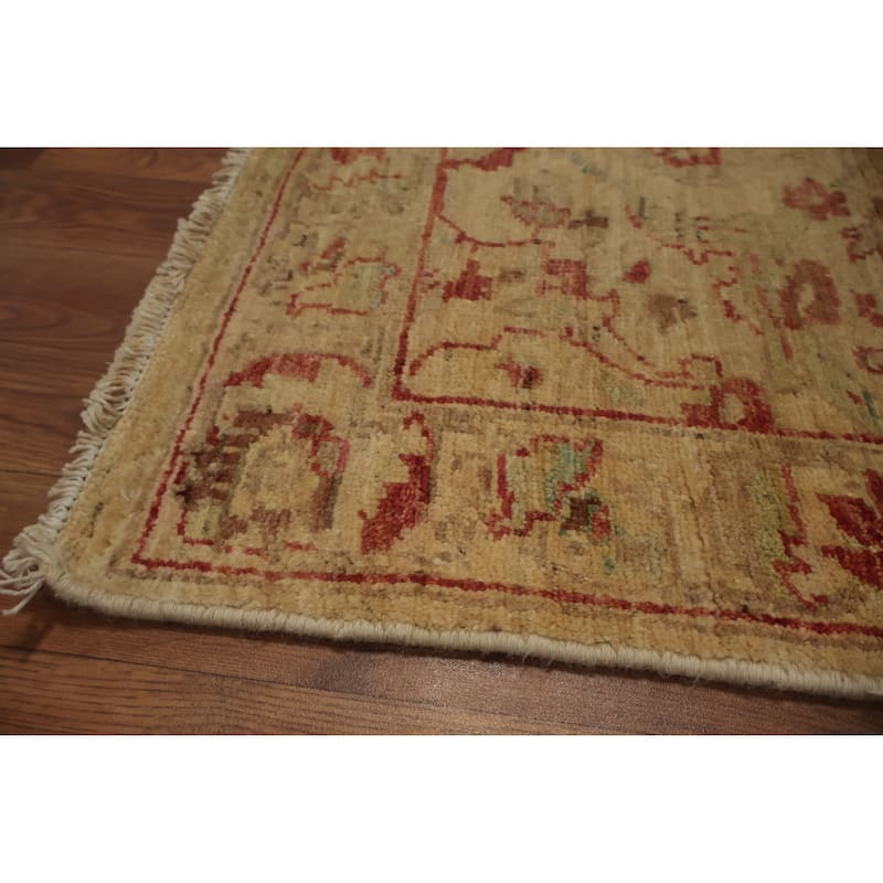 Hand Knotted Oriental 100% Wool Carpet Traditional Floral Beige & Ivories Peshawar Runner Rug - 12' 9'' X 2' 5''
