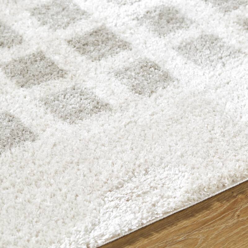 Livabliss Fossay Shag Modern & Contemporary Checkered Washable Area Rug