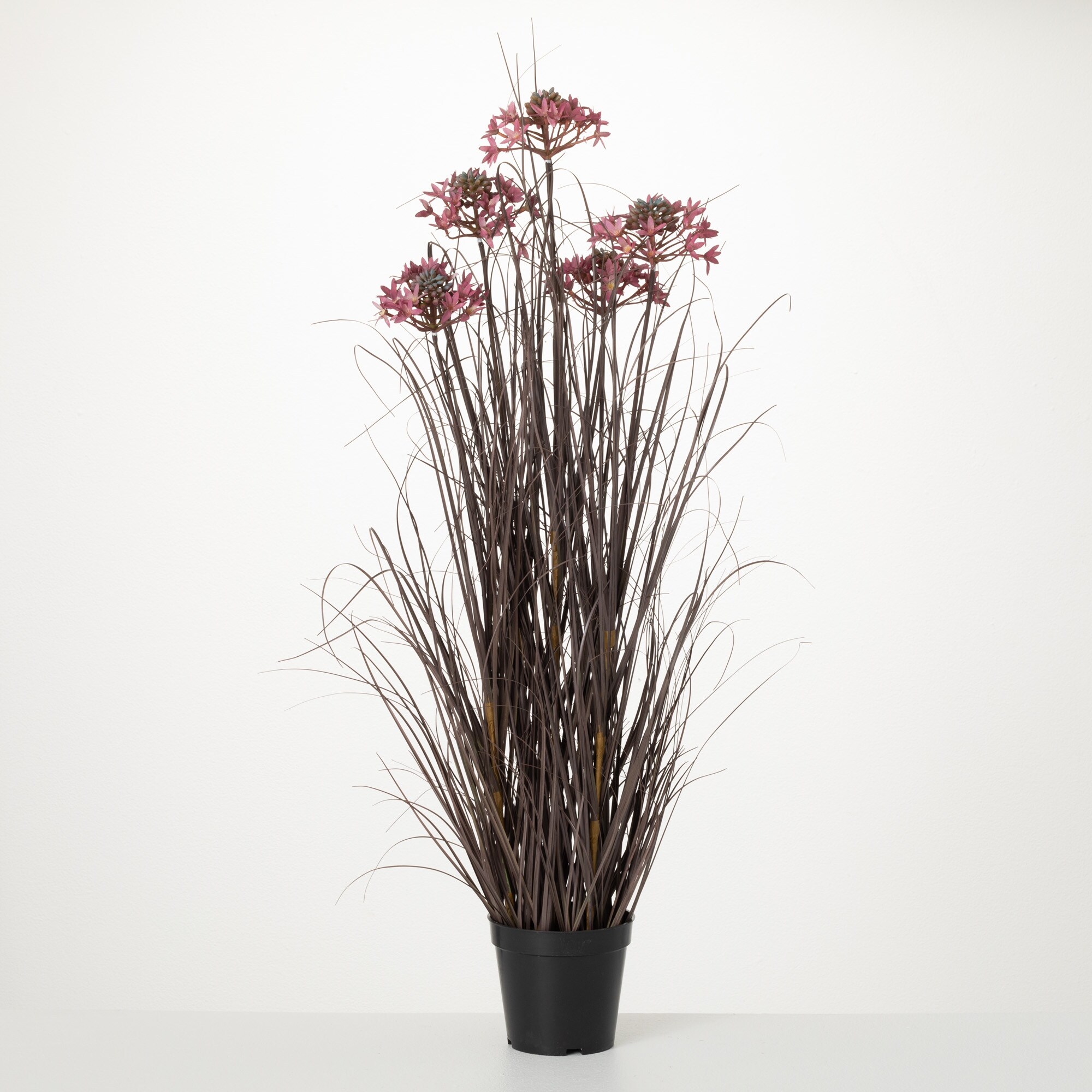 33"H Sullivans Tall Potted Rustic Grass, Red - 9.5"L x 9.5"W x 33"H
