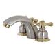 Option Brushed Nickel/Polished Brass