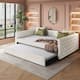 Option Ivory