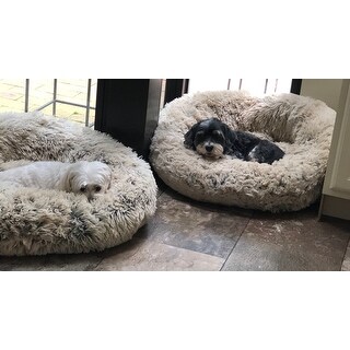 shag dog bed donut sheri friends beds