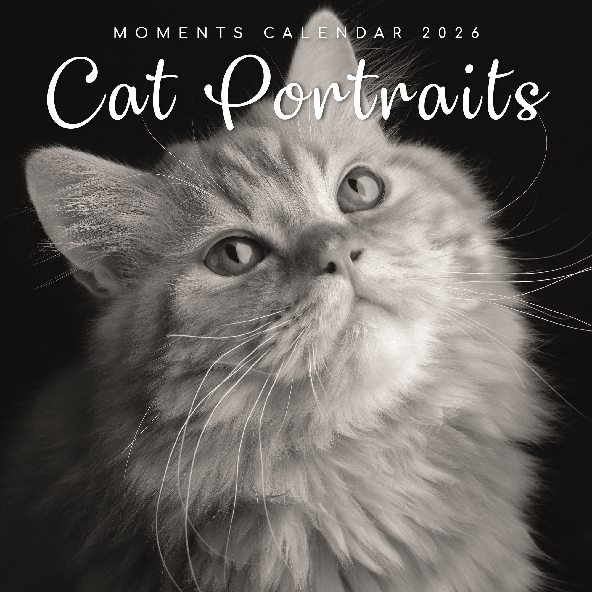The Gifted Stationery 2026 Square Wall Calendar, Cat Portraits, 16-Month Black & White Photos, 12x12