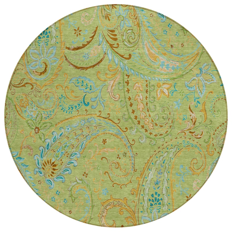 Machine Washable Indoor/ Outdoor Paisley Chantille Rug