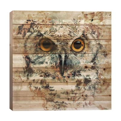 Owl II Print On Wood by Riza Peker - Multi-Color