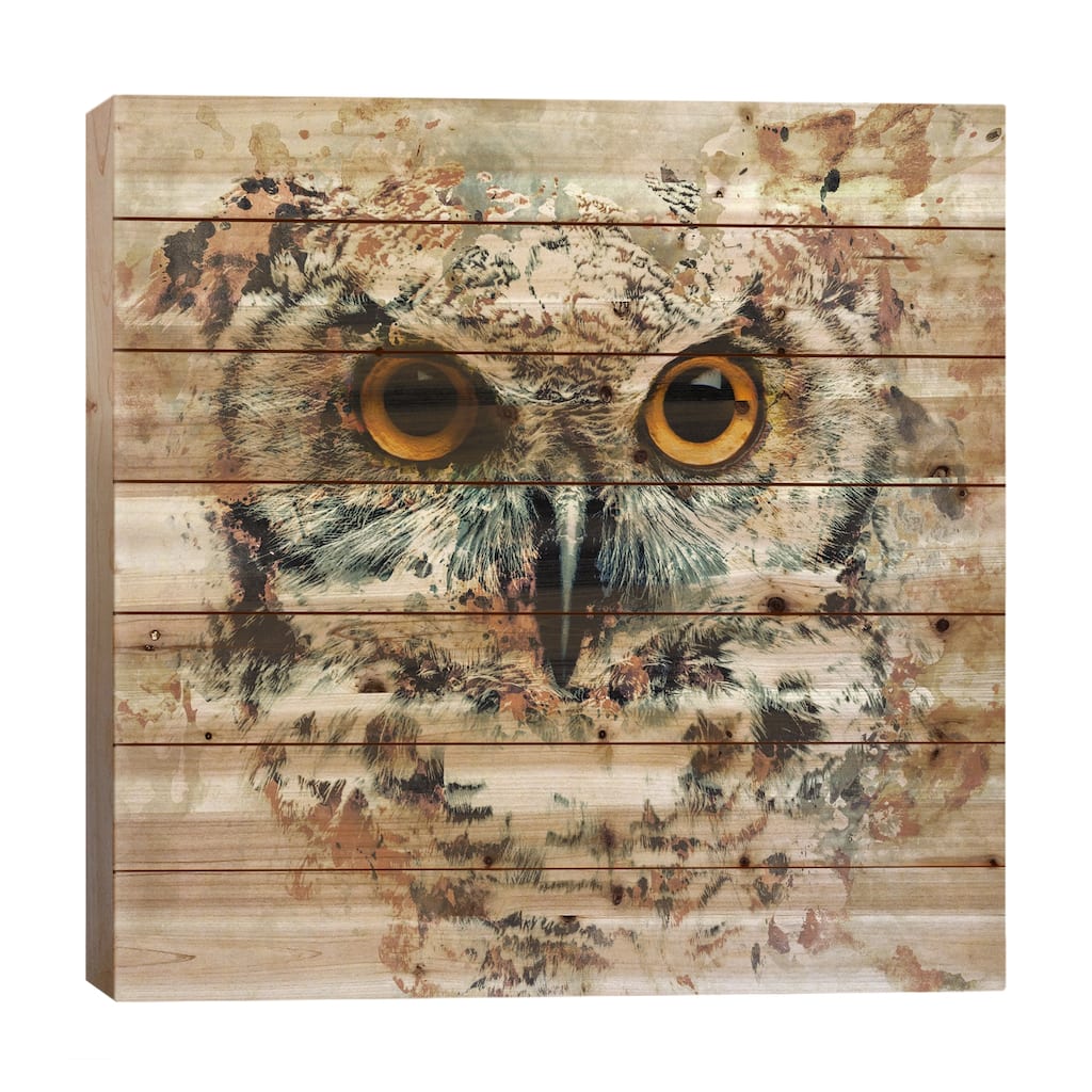 Owl II Print On Wood by Riza Peker - Multi-Color