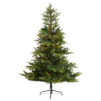 6' North Carolina Spruce Christmas Tree with 350 Lights - 72