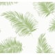 Option Summer Fern