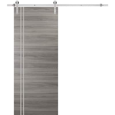 Sturdy Barn Door 36 x 80 Planum 0310 Ginger Ash with 6.6FT