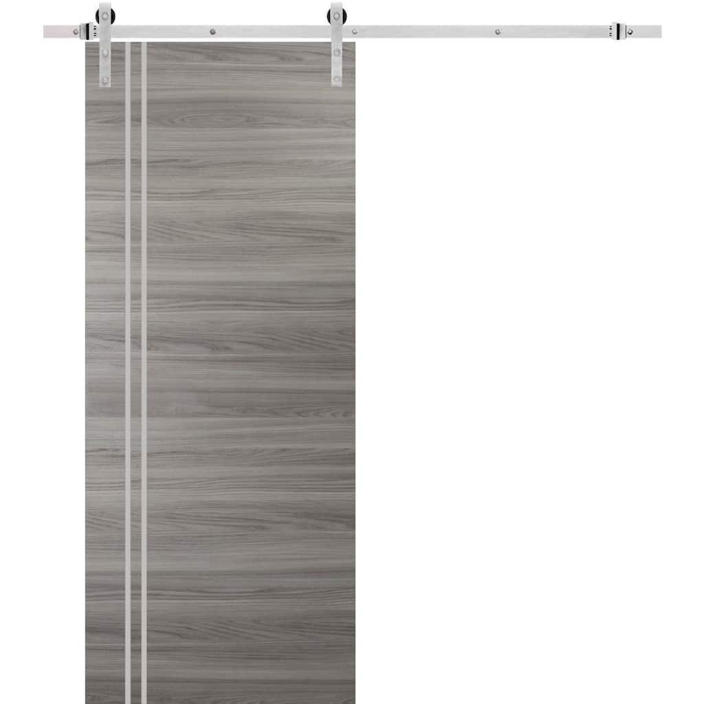 Sturdy Barn Door 36 x 80 Planum 0310 Ginger Ash with 6.6FT