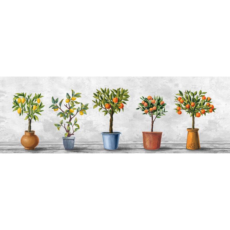 'Photographic Set of Plants' Painting Print on Wrapped Canvas