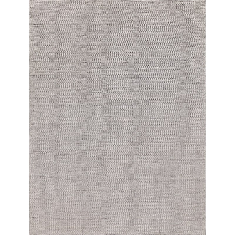 EXQUISITE RUGS Gamma Indoor/Outdoor Flatweave PET yarn Beige Area Rug.