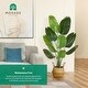 preview thumbnail 5 of 5, 5FT Artificial Plant,Tall Fake Tropical Palm Tree w/Woven Seagrass Basket, Realistic Faux Tree, 10 Detachable Trunks Silk Plants