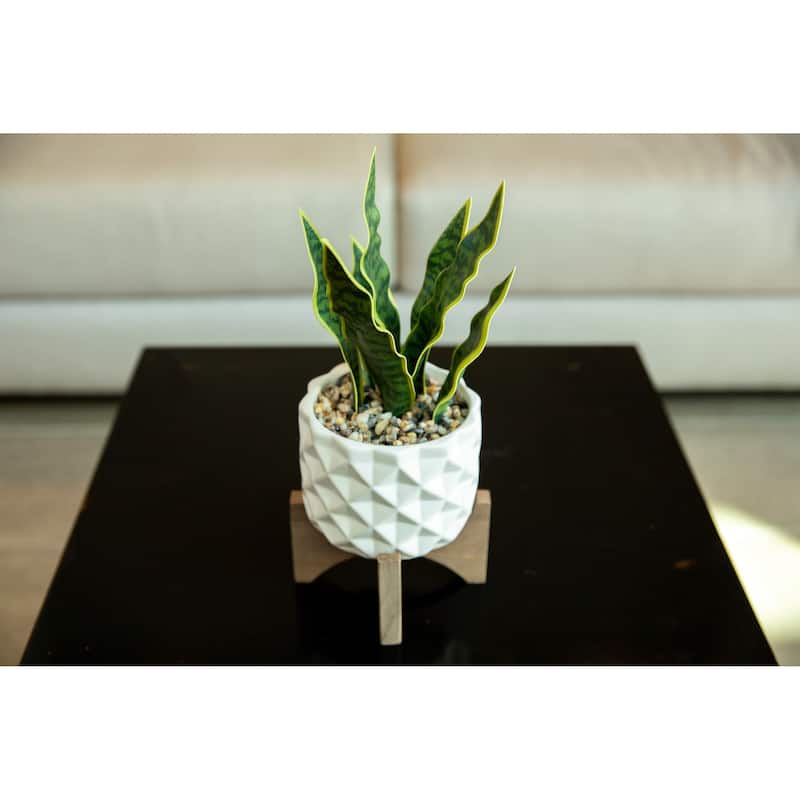 12.5"H Artificial Plant Fake Snake plant in Ceramic on Stand - ONE-SIZE