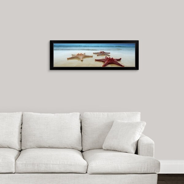 "Starfish in Queensland, Australia" Black Framed Print